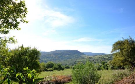 Vistas desde la propiedad